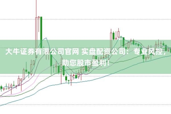 大牛证券有限公司官网 实盘配资公司：专业风控，助您股市盈利！