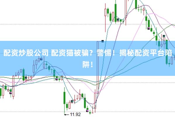 配资炒股公司 配资猫被骗？警惕！揭秘配资平台陷阱！
