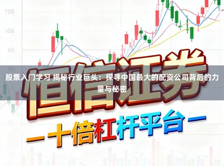 股票入门学习 揭秘行业巨头：探寻中国最大的配资公司背后的力量与秘密
