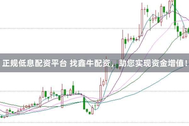正规低息配资平台 找鑫牛配资，助您实现资金增值！